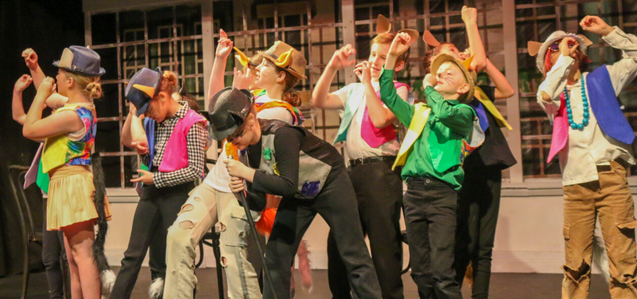 Roots' School of Theatre